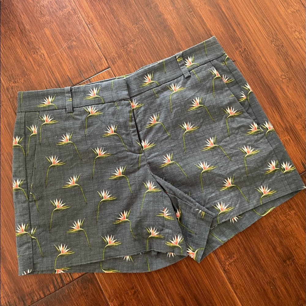 Ann Taylor Women’s Shorts